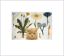 Arnold Hagström, Katt, handkolorerat polymertryck, 56x65 cm(inkl marginal), 3300 kr